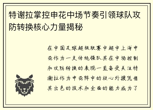 特谢拉掌控申花中场节奏引领球队攻防转换核心力量揭秘